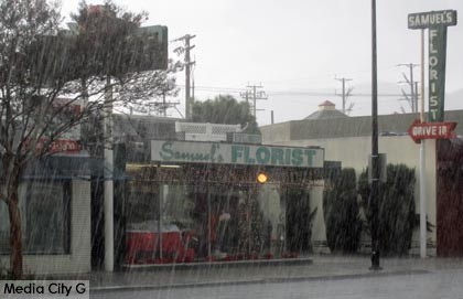 Photo: FLLewis / Media City G -- Heavy rain fell this morning in front of Samuel's Florist 921 West Olive Avenue in Burbank December 12, 2014