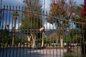 Photo: FLLewis/Media City G -- A look at Grand View Cemetery in Glendale through a closed gate, Friday, October 22, 2010