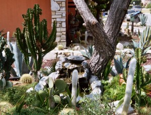 Photo: FLLewis/Media City G -- Burbank resident on Bel Aire Drive turns front yard into a cactus and rock garden 