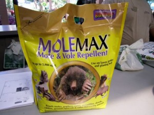 Photo: FLLewis/Media City G -- Molemax, mole and gopher repellent