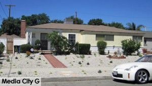 Photo: FLLewis/ Media City G -- Alternative landscape at a home in the 500 block of South Griffith Park Drive in Burbank July 23, 2014