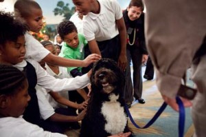 Photo: Samantha Appleton/White House --First Family dog Bo greets some young visitors to the White House November 29, 2010