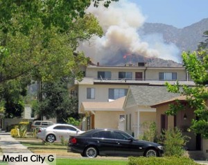 Photo: FLLewis/Media City G -- Brush fire breaks in Glendale hills June 22, 2014