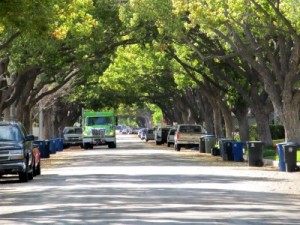 Photo: FLLewis/Media City G -- Tree lined street in a Burbank neighborhood March 2011
