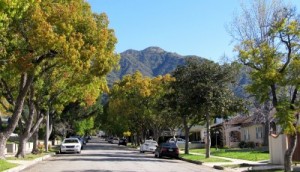 Photo: FLLewis/Media City G -- A tree lined street in the hillside area of Burbank 