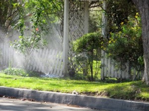 Photo: FLLewis/Media City G -- Sprinklers spray a lush green yard on Sunset Canyon Drive in Burbank March 2011