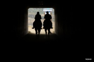 Photo: Terje Canavarro/freelance photographer -- "Riders in Griffith Park" March 2012