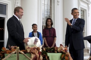 Photo: Chuck Kennedy/White House -- President Obama pardoned two turkeys at the White House today. Only one, Liberty, made an appearance at the event. The other, Peace, skipped the photos.  November 23, 2011