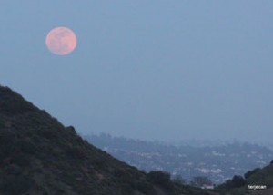 Photo: Terje "Terry"Canavarro/freelance photog -- A rare supermoon in the sky over the Southland this evening. Shot from Mulholland Drive above the Hollywood Bowl May 5, 2012